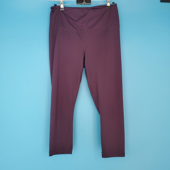 Velocity Pants - Velocity Leggings Size Large Eggplant Cropped